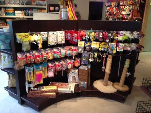 Bone Adventure has a new location in Wayzata